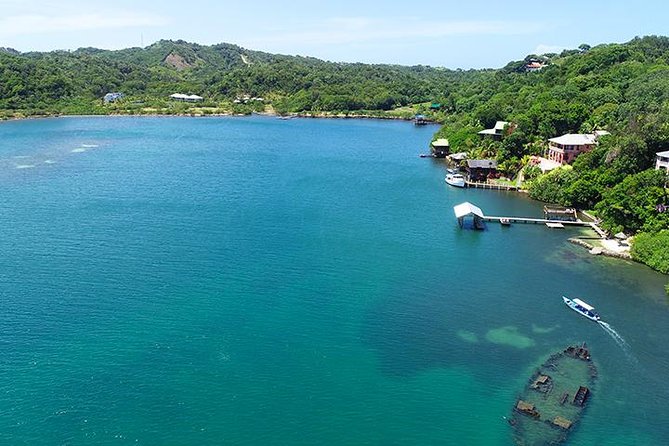 Roatan Mangrove Tunnel Culture Tour on a Water Taxi Tuk-Tuk - Key Points