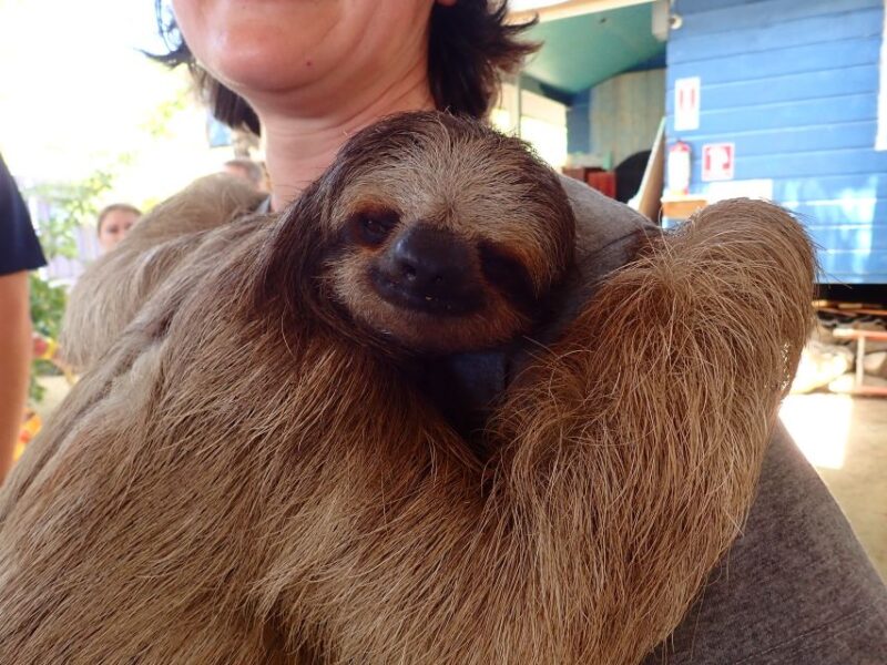 Roatan: Mangrove Tunnel Tour With Snorkeling - Inclusions and Exclusions