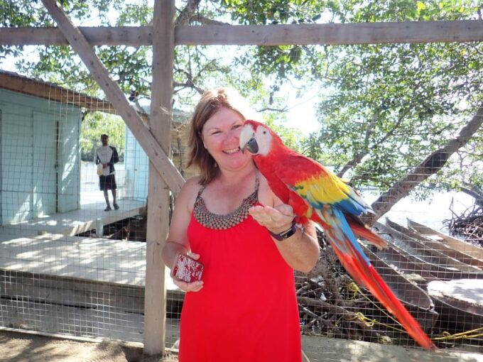 Roatan: Mangrove Tunnel Tour With Snorkeling - Review Summary