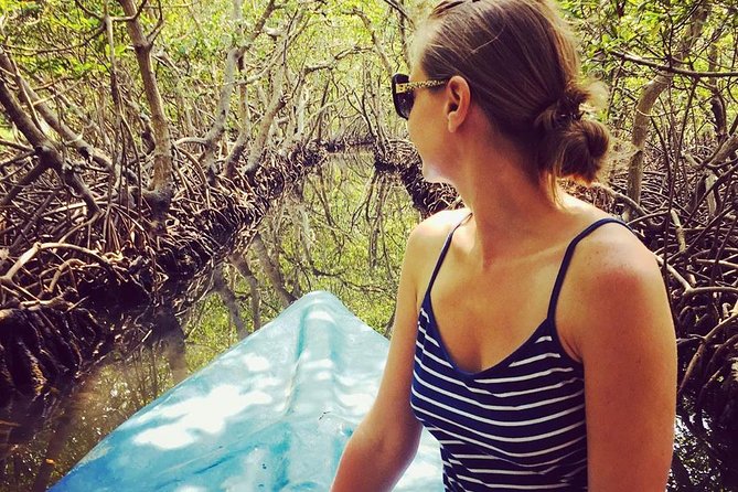 Roatan Mangrove Tunnels Adventure - Key Points