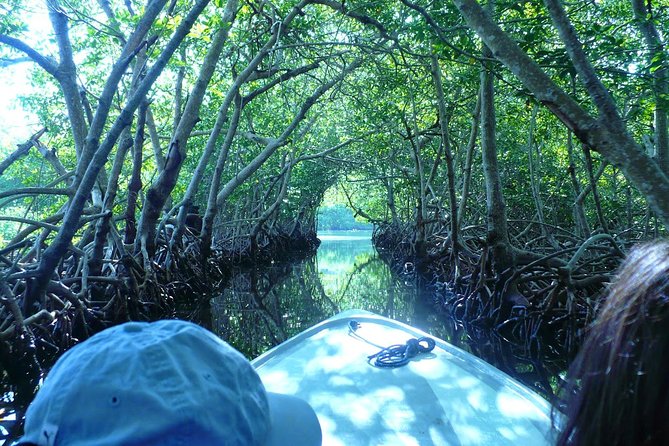 Roatan Mangrove Tunnels Adventure - Inclusions and Amenities