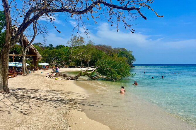 Roatan Monkey and Sloth Sanctuary and Beach Break - Relaxation at the Beach
