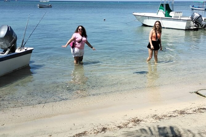 Roatan Monkey Sloth Plus Chocolate and Rum Tasting - Chocolate Tasting Experience