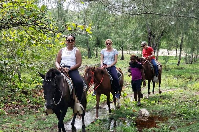 Roatan Nature Combo: Mangrove Cruise, Horseback Riding & Snorkel - Pricing and Booking Information