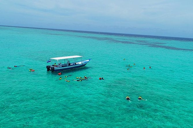 Roatan North Side Mangroves, Starfish, Shipwreck Snorkeling & Transportation - Inclusions