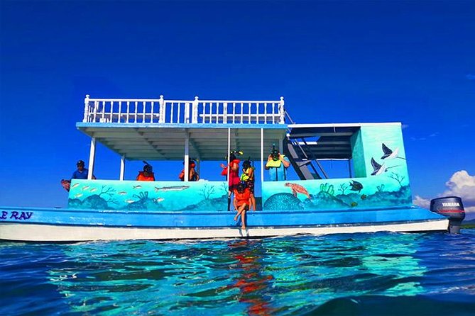 Roatan Private Catamaran Shipwreck, Blue Channel and Starfish With Transfer - Key Points