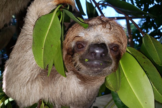 Roatan Shore Excursion - the All in One Roatan Adventure - Tour Schedule and Availability