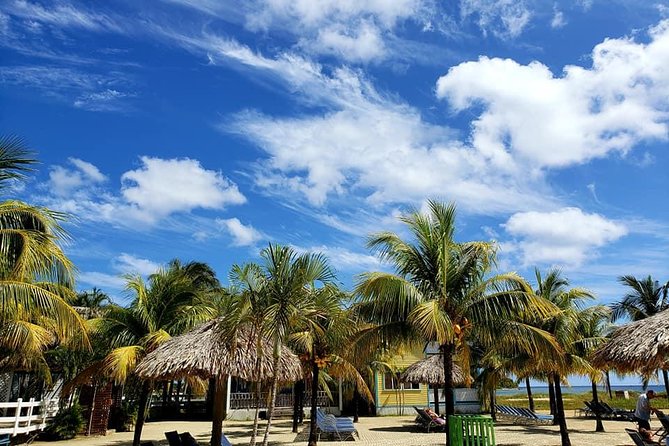 Roatan Shore Excursion - the All in One Roatan Adventure - Tour Schedule and Availability