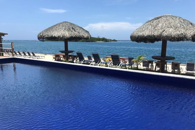 Roatan Shore Excursion - the All in One Roatan Adventure - Thrilling Zipline Adventure