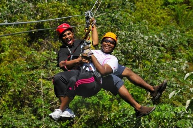 Roatan Shore Excursion: Zip N Dip Canopy Tour - Meeting and Pickup