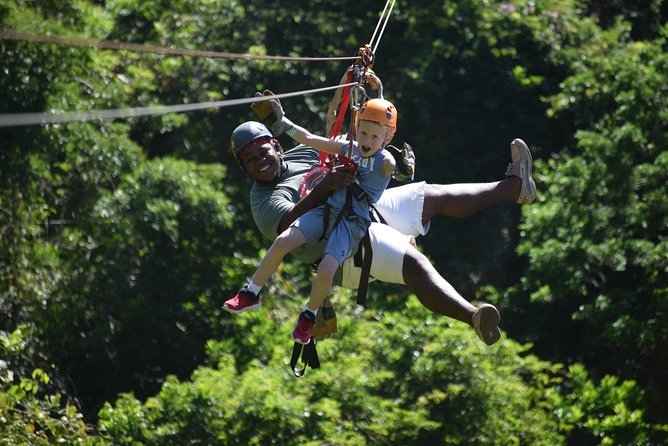 Roatan Shore Excursion: Zip N Dip Canopy Tour - Refreshing Beach Dip