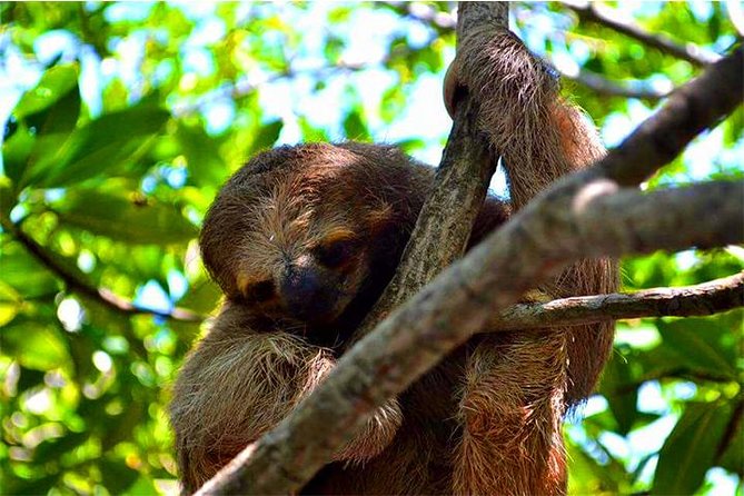 Roatan Sun & Fun Custom Private Island Tour - Water Activities and Watersports