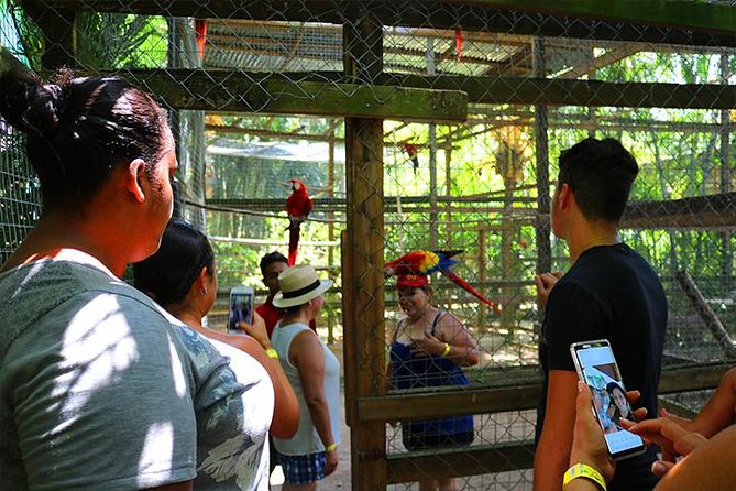 Roatan Sun & Fun Custom Private Island Tour - Accessibility and Accommodations