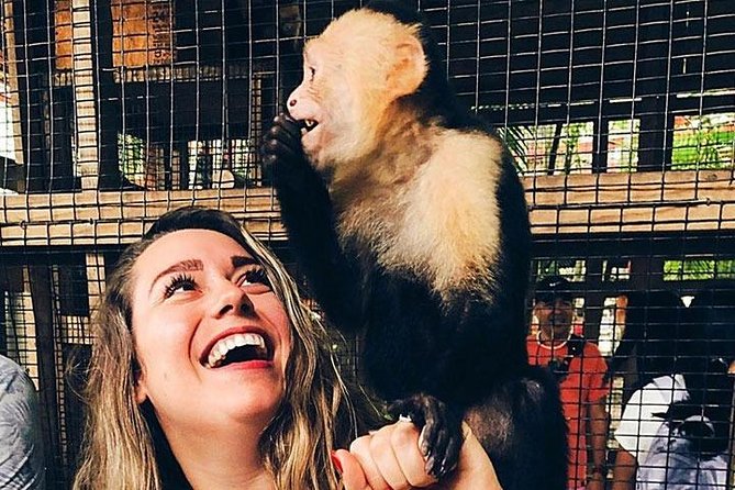 Roatan Sun & Fun, Sloths & Monkeys, Beach & Private Transfer - Pickup and Transportation