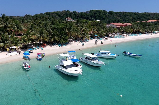 Roatan VIP Free-Style Private Tour - Professional Local Guide