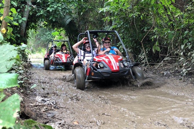 Roatan Wildlife Eco-Safari Adventure: Dune BUGGY, History & Beach - Tour Overview and Highlights