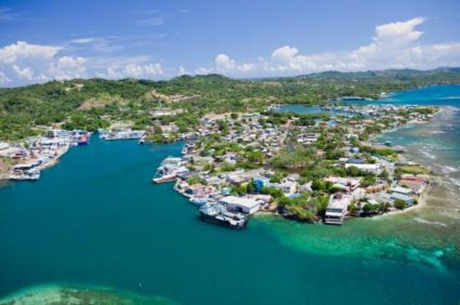 Roatan Zipline Adventure, Sloths & Monkeys,Chocolate Factory Tour - Key Points