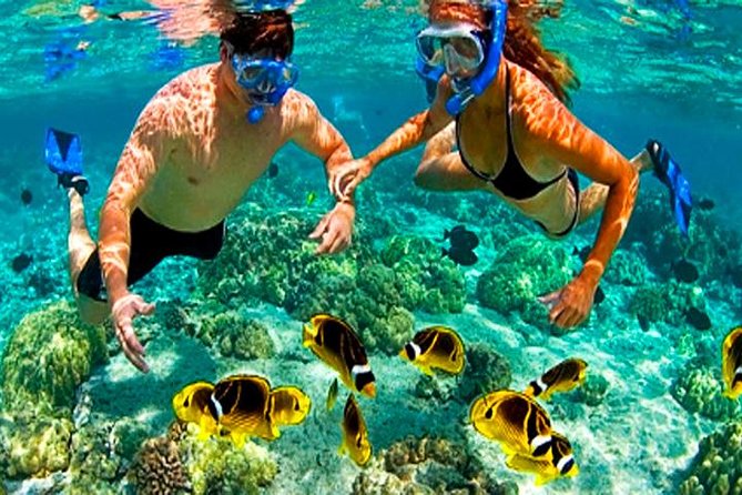 Roatan Zipline, Monkey, Macaws & Sloths Eco Park, Snorkeling, Transfer - Tour Overview and Highlights