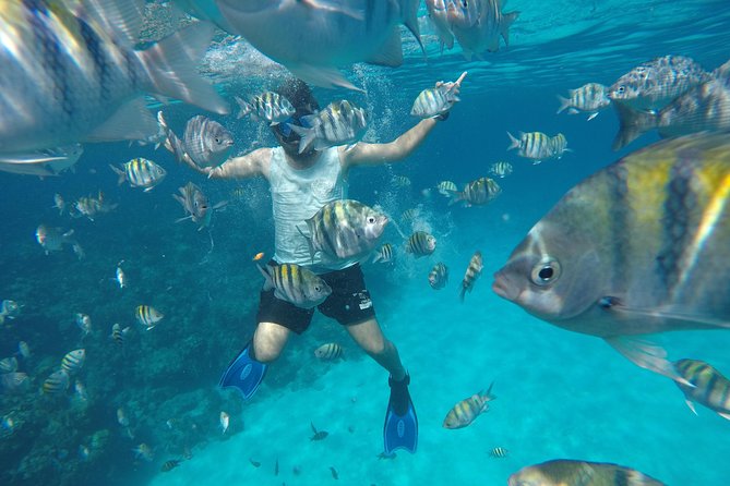 ROATAN: Zipline-Sloths-Snorkeling-City Tour Chocolate & Rum - Customer Reviews