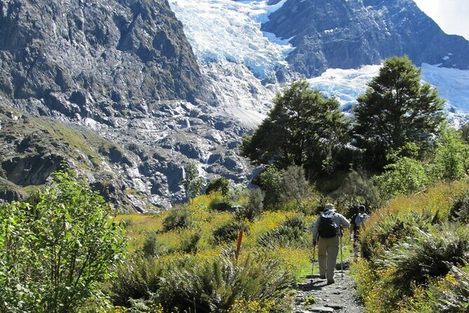 Rob Roy Glacier Guided Walk - Into the Heart of Mount Aspiring National Park