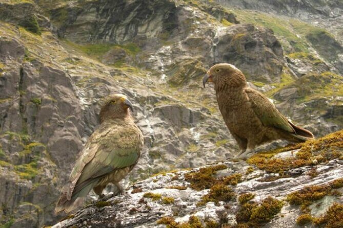 Rob Roy Glacier Guided Walk - Duration and Pacing