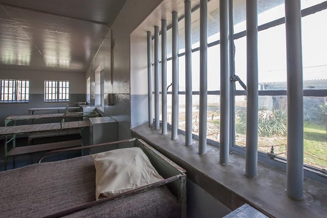 Robben Island & City Stops.We Confirm Tickets by 8h00 Am Next Day - African Penguins on the Island