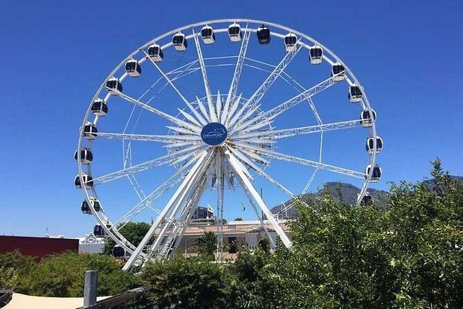 Robben Island Guided Tour & Two Ocean Aquarium With Tickets - Tour Highlights and Experiences