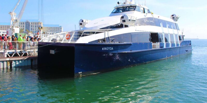 Robben Island Half Day Tour With Pre Booked Ticket (s) - Boat Trip to Robben Island