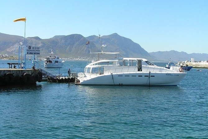 Robben Island Half Day Tour With Pre-Booked Tickets. - What to Expect