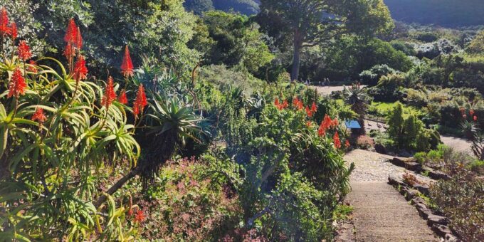 Robben Island, Kirstenbosch and Groot Constantia Tour - Important Information