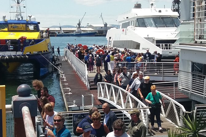 Robben Island Museum Plus Table Mountain National Park & Bo-kaap All Tickets F/d - Pricing and Cancellation