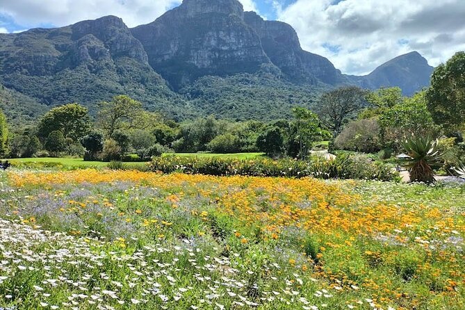 Robben Island, Table Mountain and Kirstenbosch From Cape Town - Robben Island