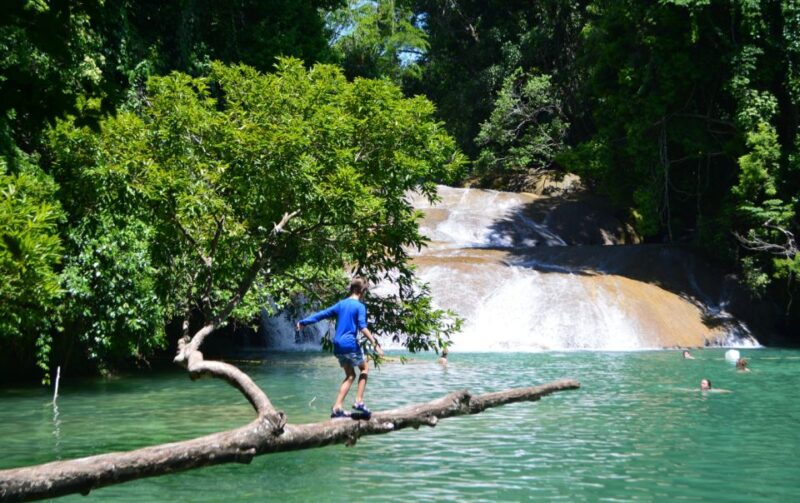 Roberto Barrios Waterfalls From Palenque. - Recommendations and Preparations