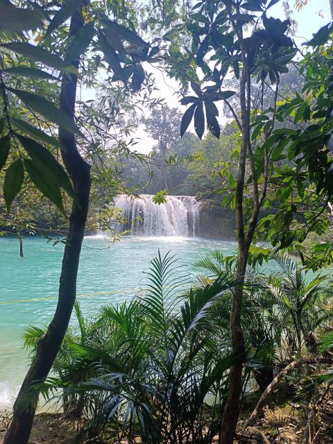 Roberto Barrios Waterfalls From Palenque - Frequently Asked Questions