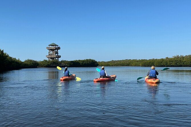 Robinson Preserve Mangrove Tour - An Introduction to Robinson Preserve Mangrove Tour