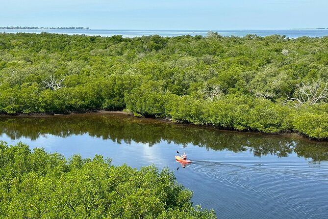 Robinson Preserve Mangrove Tour - The Itinerary Breakdown