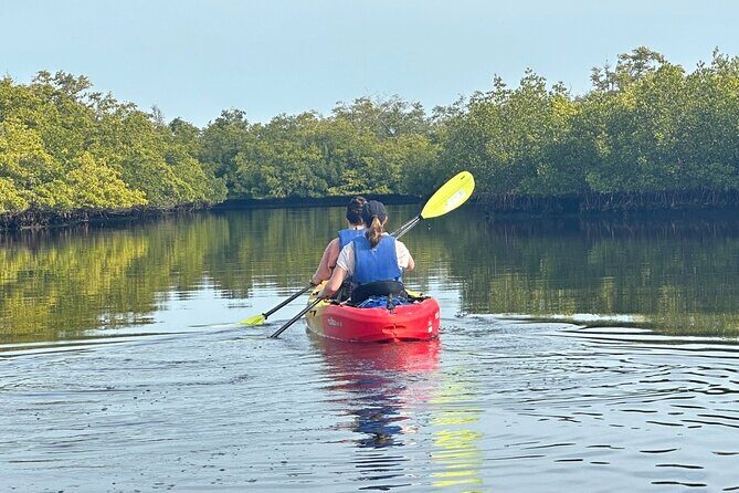Robinson Preserve Mangrove Tour - Pricing and Value