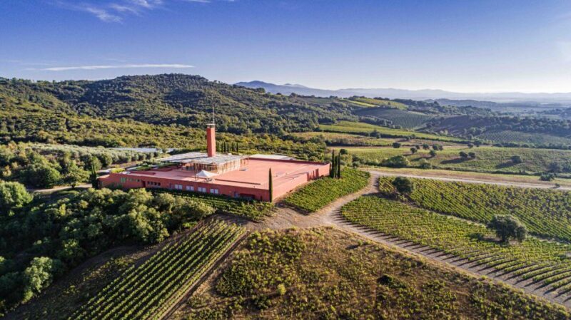 Rocca Di Frassinello Winery: Tour & Wine Tasting in Tuscany - Highlights of the Winery Tour