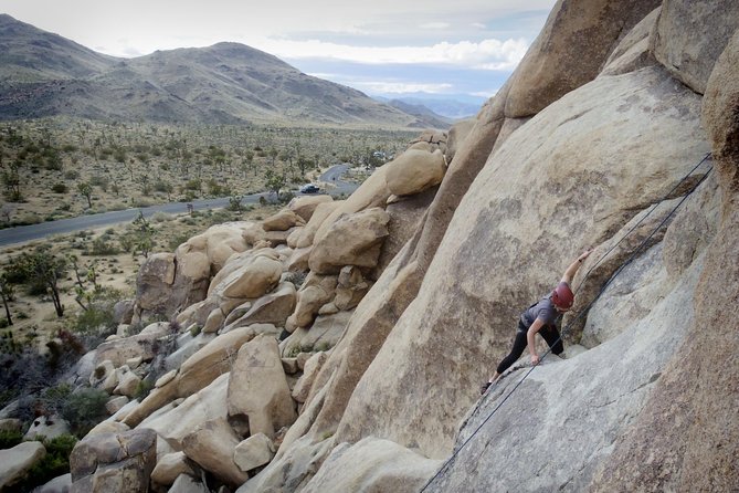 Rock Climbing Trips in Joshua Tree National Park (4 Hours) - Booking and Cancellation Policies