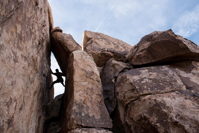 Rock Climbing Trips in Joshua Tree National Park (8 Hours) - Exceptional Reviews From Previous Participants