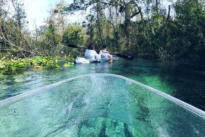 Rock Springs 2-Hour Glass Bottom Guided Kayak Eco Tour - What to Expect