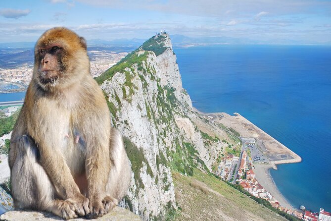 Rock Tour in Gibraltar by Bus With Tickets - Customer Feedback