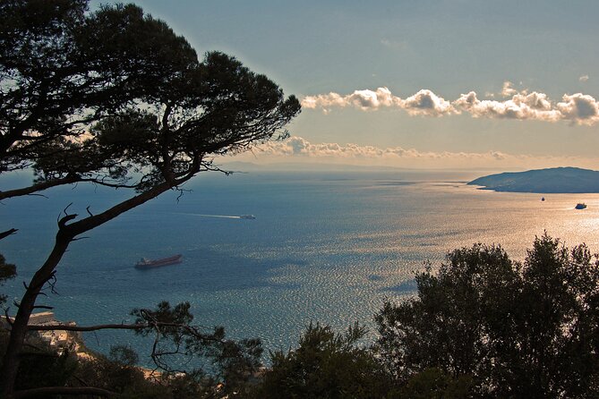 Rock Tour in Gibraltar by Bus With Tickets - Preparing for the Trip