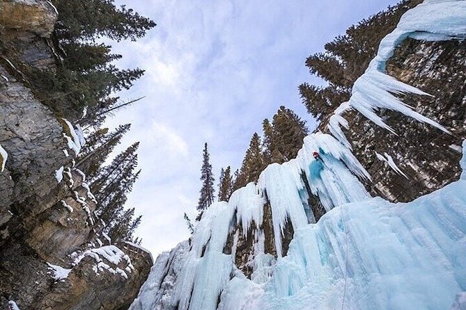 Rockies Select 2-Day Tour (Banff & Yoho National Park) - Group Size and Accessibility