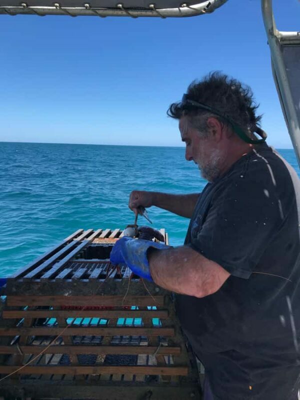 Rockingham: Lobster Catch and Keep Tour with Refreshments - Frequently Asked Questions