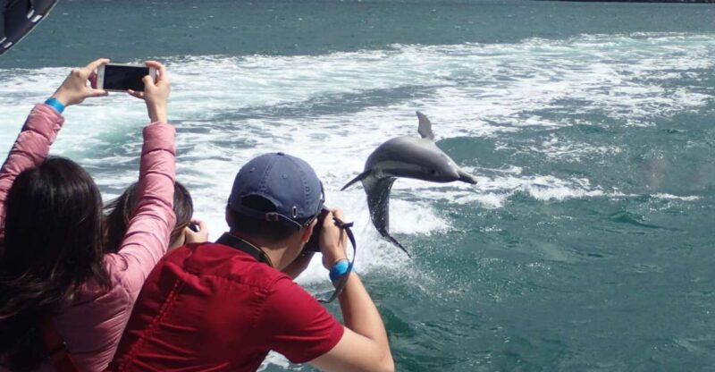 Rockingham: Shoalwater Islands Tour and Penguin Island - Getting to the Tour