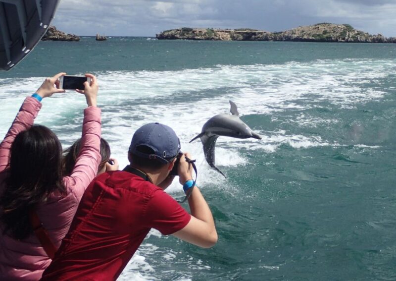 Rockingham: Shoalwater Islands Tour and Penguin Island - Important Considerations