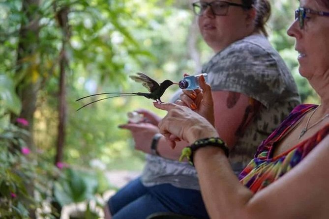 Rockland Bird Sanctuary Private Tour - Exploring the Sanctuary