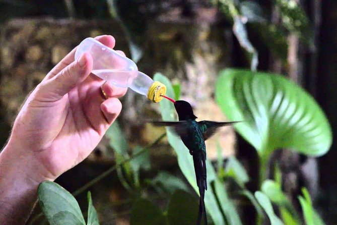 Rockland Bird Sanctuary Private Tour - Booking and Logistics