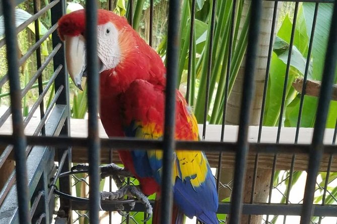 Rockland Bird Sanctuary Private Tour - Booking Your Stay
